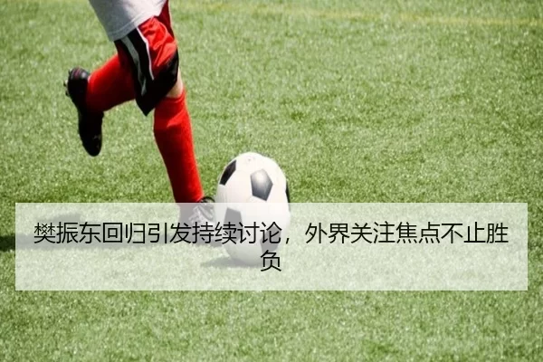 樊振东回归引发持续讨论，外界关注焦点不止胜负